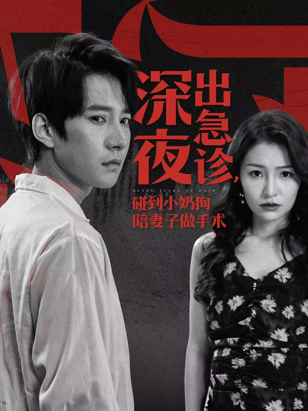 深夜出急诊碰到小奶狗陪妻子做手术短剧大结局-免费在线观看全集1080P超清中字版-夸克网盘资源下载