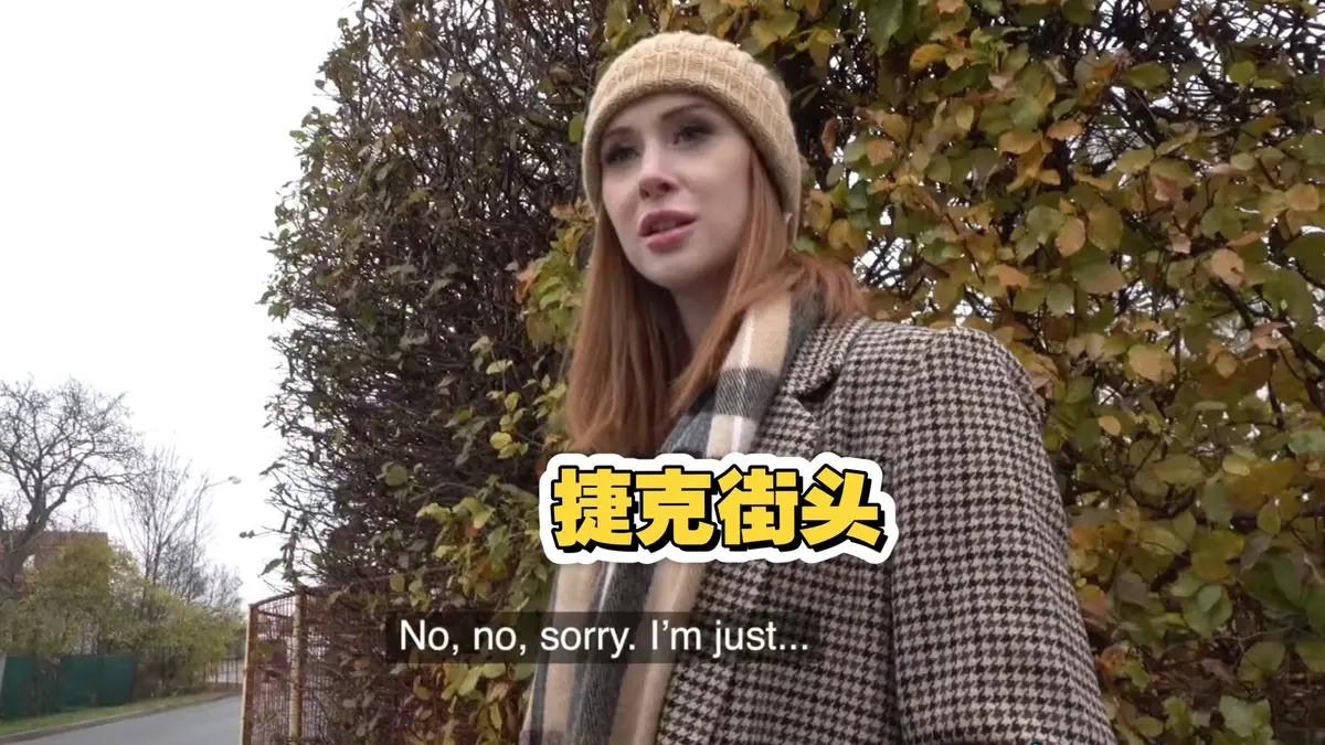 《捷克街头钞能力搭讪系列》高清全集资源-2025电影免费在线观看完整版-无广告高清播放