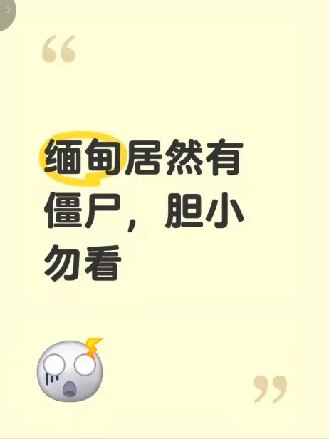 《缅甸僵尸出土事件》高清无删减完整版 - 免费在线观看缅北神秘事件揭秘 - 全程录像还原真相