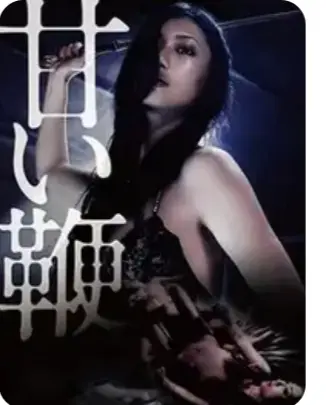 《甜蜜皮鞭》1080P高清完整版在线观看-中文字幕未删减版资源免费播放-日本经典剧情片甜蜜皮鞭HD超清画质