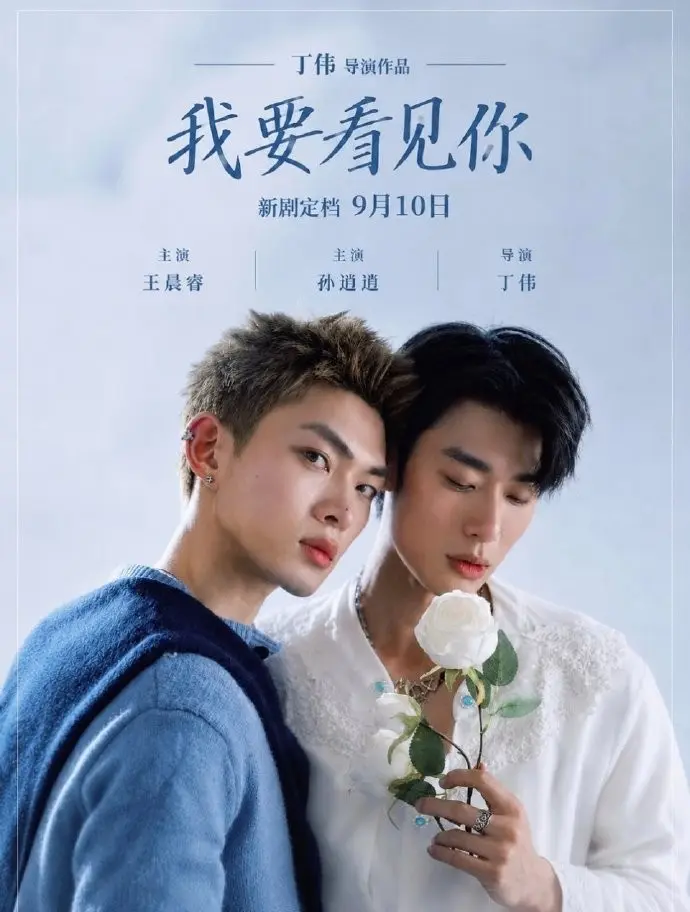 《我要看见你》台剧免费观看完整版-我要看见你HD中字在线播放-2026台湾双男主电视剧-高清全集迅雷下载