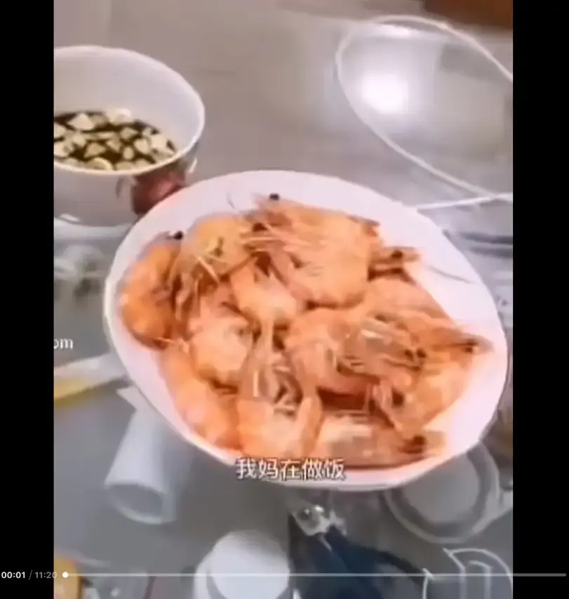 《大虾母子厨房完整版》高清视频免费在线观看 猎奇视频原委解析 在线观看大虾母子厨房梗
