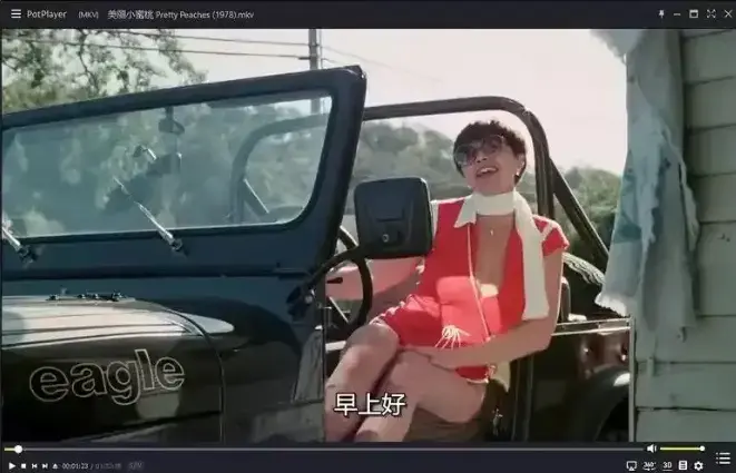 《美丽小蜜桃》未删减版免费观看-高清中字完整版在线播放-美丽小蜜桃1978年复古喜剧电影