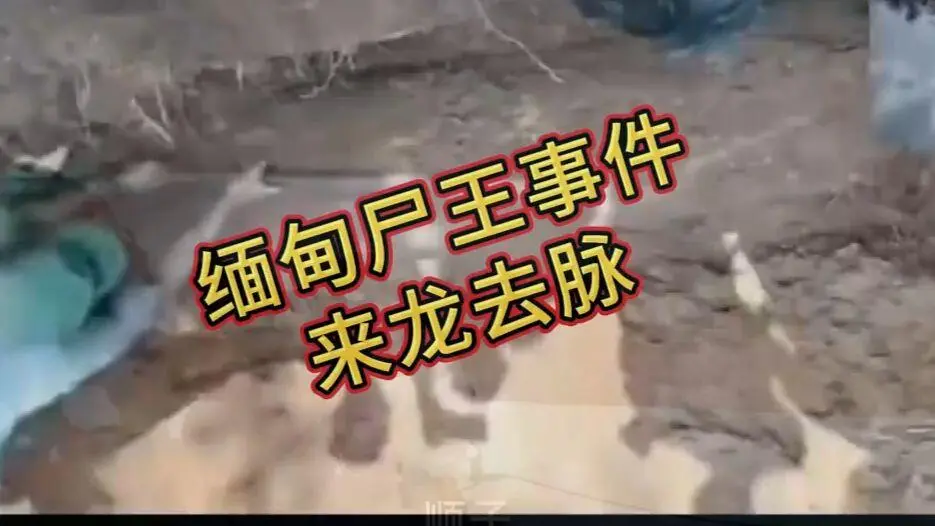 《缅甸僵尸出土事件视频》完整版资源在线观看免费播放 - 诡异真相解密高清下载 - 爆火视频全程录像