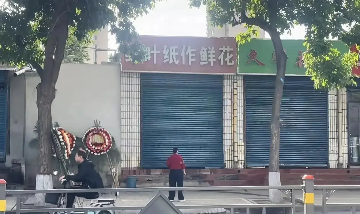 《原平纸艺鲜花店门口实拍视频》HD高清完整版在线播放-原平纸艺鲜花店门口实拍炸裂视频免费观看-迅雷/阿里云盘资源