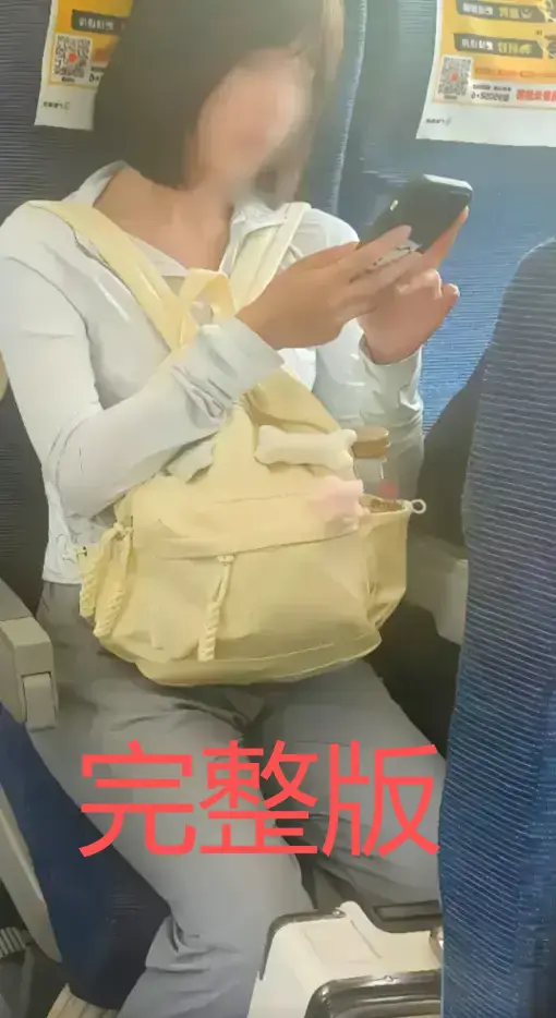 高铁短发女孩原视频完整版在线看-高铁妹子梗事件始末解析-54秒高清视频网盘资源下载-后续更新60秒视频附带迅雷/UC资源