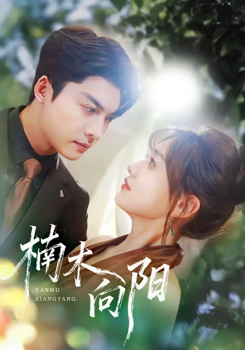 《楠木向阳》全70集完整版 - 无删减高清短剧在线看 - 百度网盘资源免费分享