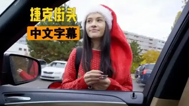 《捷克街头》1080P高清画质在线播放_无删减完整版全集资源_捷克街头1-100集免费看_蓝光影视网无广告观看