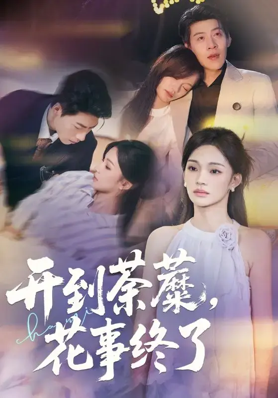 资源图片