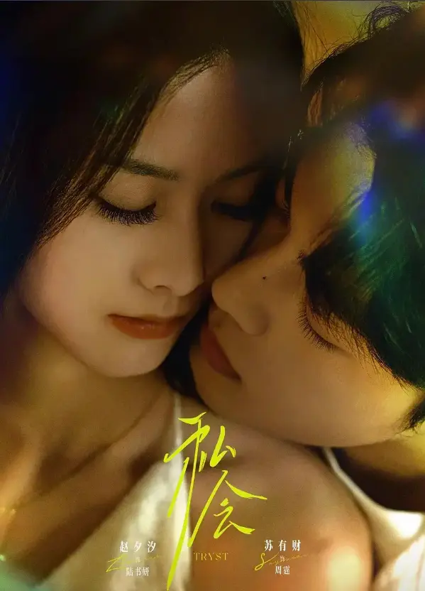《私会》在线短剧63集完整版 - 1080P超清画质 - 姐狗禁忌恋剧情免费看