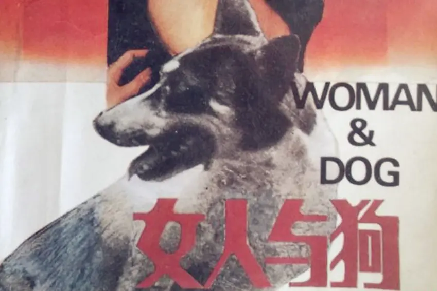 《女人与狗》俄罗斯电影全集高清播放-《女人与狗》无广告在线观看免费-高清无删减版大结局一口气看完