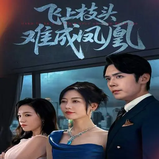 《飞上枝头难成凤凰》全集短剧在线看-未删减版1080P画质-百度云夸克网盘下载