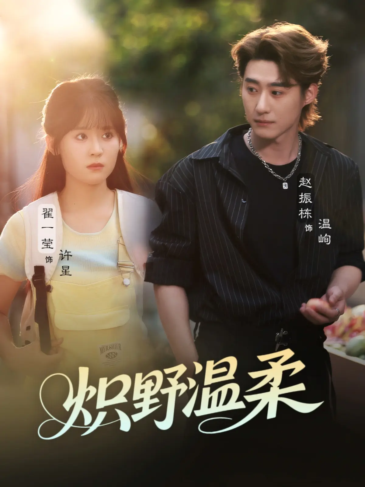 短剧《炽野温柔》完整版未删减免费在线观看-《炽野温柔》全30集1080P高清资源-炽野温柔HD高清播放百度云/迅雷/夸克三盘秒存