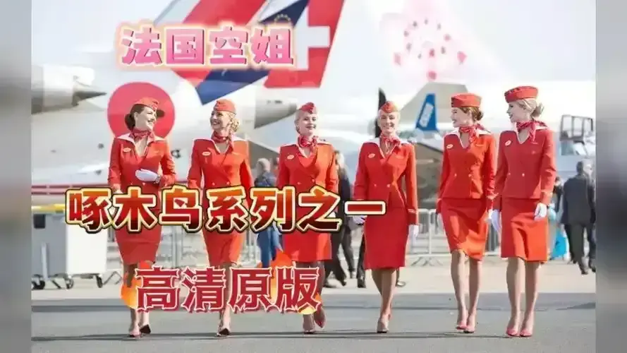 《法国空姐》三季全（2017-2023）高清无广告播放-法语原声未剪辑版-《法国空姐》全集免费观看资源