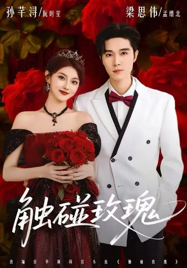 短剧《触碰玫瑰》全季无广告免费播放-1080P高清画质中字完整资源-《触碰玫瑰》全集百度网盘/迅雷多平台下载