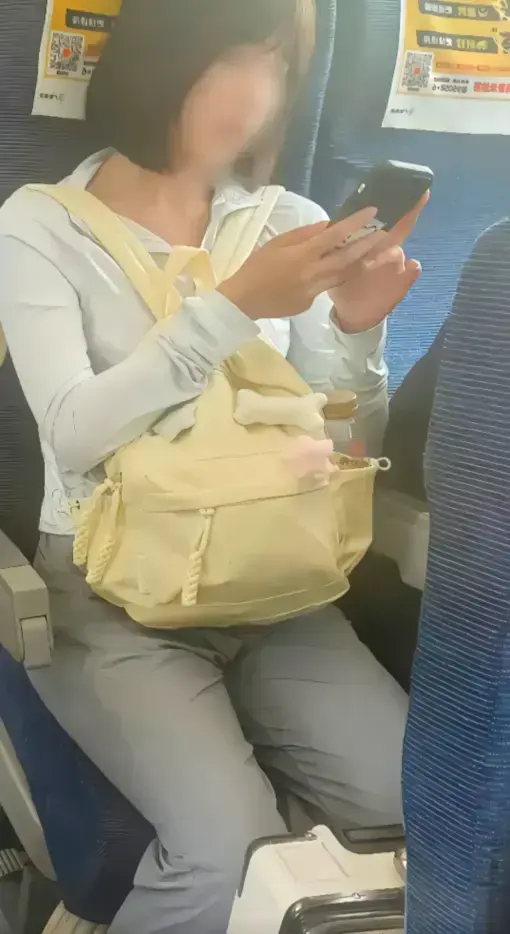 《高铁短发女孩》原视频+后续60秒-高铁妹子是什么梗详解-高清画质资源-含百度云/迅雷多种下载方式