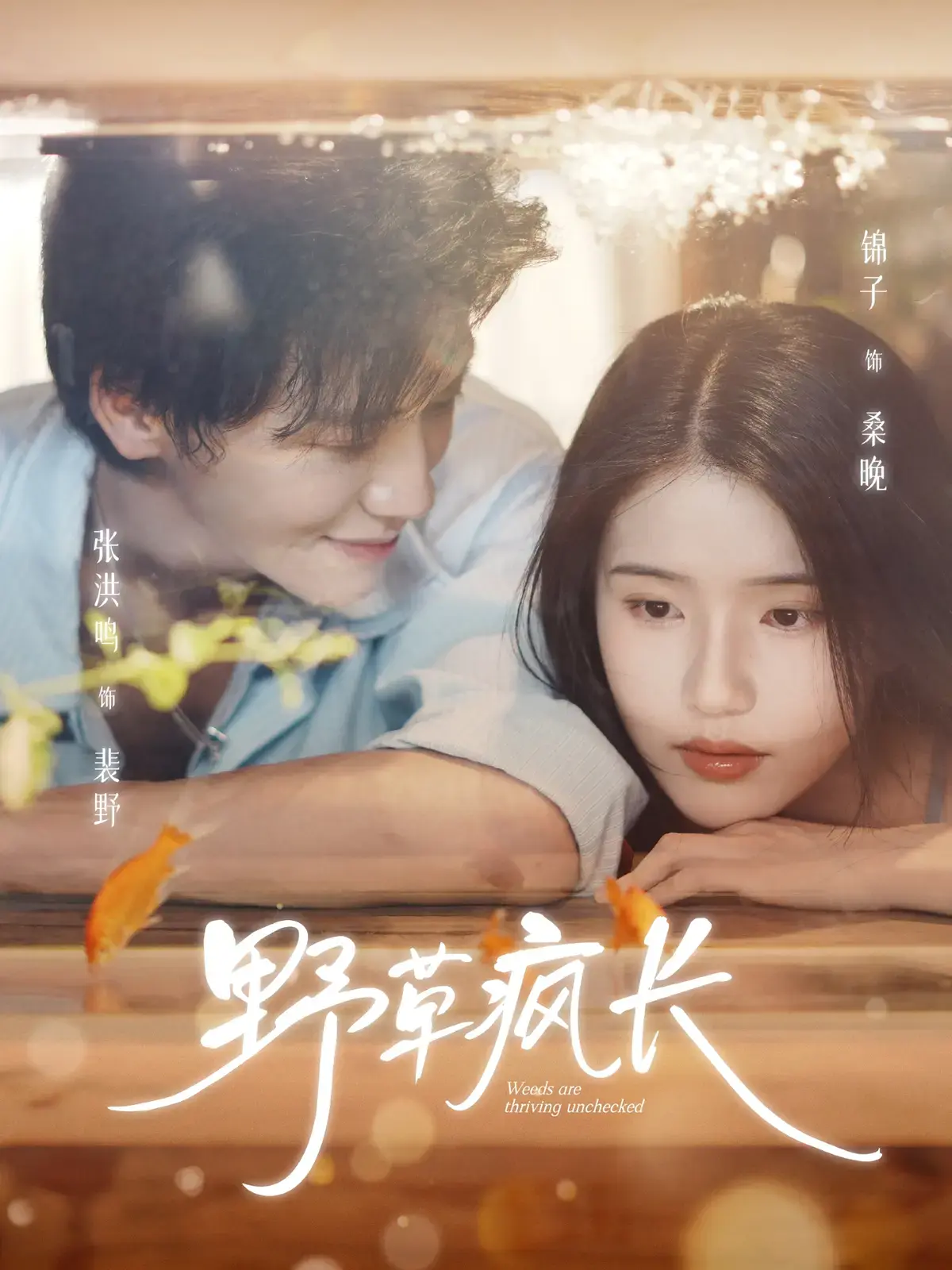 《野草疯长》全71集高清播放 - 新番短剧无广告在线观看 - 免费资源分享下载迅雷夸克网盘