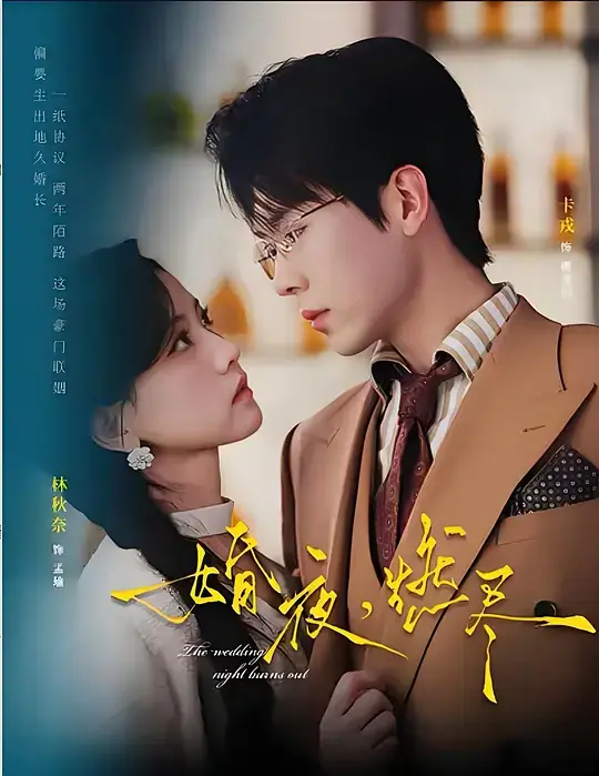 短剧《婚夜，燃尽》卡戎林秋奈主演全集-《婚夜，燃尽》1080P高清免费观看-无广告在线播放完整版资源下载