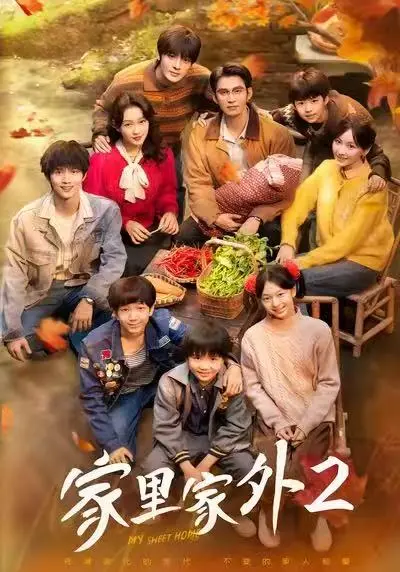 《家里家外2》全剧集免费观看-更新至大结局1080P资源