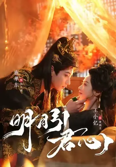 《明月引君心》未删减版全集1080P高清在线观看-明月引君心全集免费观看无广告